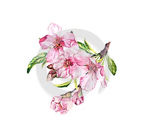 Pink spring flowers. Cherry blossom, almond, apple, sakura. Watercolor photo