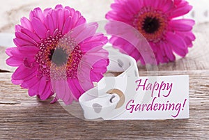 Pink Spring Gerbera, Label, Text Happy Gardening