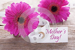 Pink Spring Gerbera, Label, Text Mothers Day
