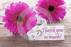 Pink Spring Gerbera, Label, Text Thank You So Much photo