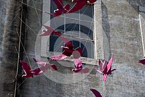 Pink squab in lisbon. Street art in Portugal