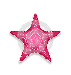 Pink starfish on white background