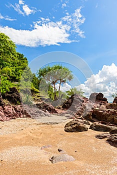 Pink stone Arkose, Arkosic Sandstone near the beach , Pink sto