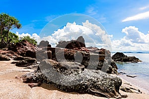 Pink stone Arkose, Arkosic Sandstone near the beach , Pink sto