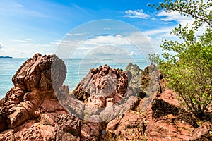 Pink stone Arkose, Arkosic Sandstone near the beach , Pink sto