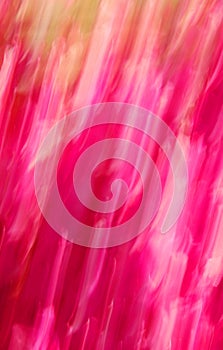 Pink streaks of color photo