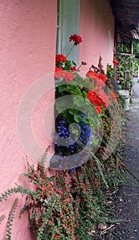 Pink wall with colorful windowbox photo