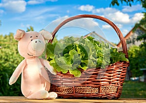 A pink stuffed pig sits next to a basket of green lettuce against a blue sky