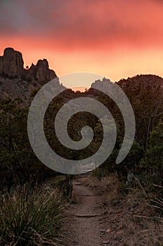 Pink Sunrise Skies Over the Pinnacles Tral in Big Bend