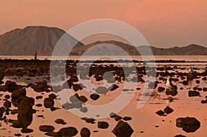 Pink sunrise sky reflected in rocky water shore, solitary man using binoculars, low tide Bahia Los Angeles, Baja, Mexico