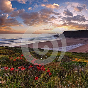 Pink sunset ocean scenery and summer Odeceixe beach Aljezur, Algarve, Portugal