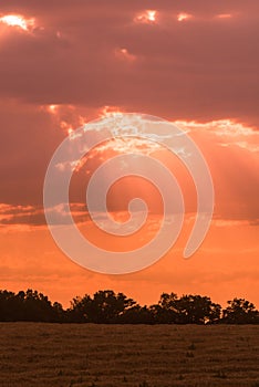 Pink sunset in open field in summer