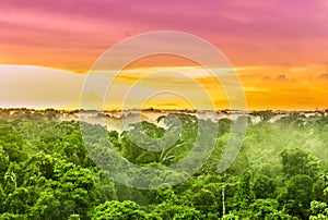 Pink sunset over the Amazon rain forest in Brazil