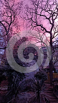 Pink sunset in Yalta