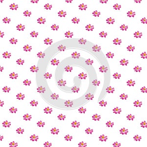 Pink sweet cosmos flower seamless patterns isolated on white background. top view plant bright pattern love theme for gift