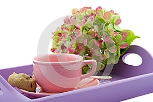 Pink tea cup on purple tray