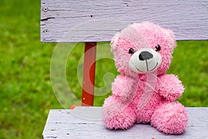 Pink teddy bear on a vintage bench