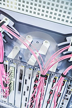 Pink Telecommunication Computer Wires and Cables for Data Transfer