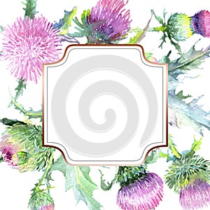 Pink thistle floral botanical flowers. Watercolor background illustration set. Frame border ornament square.