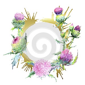 Pink thistle floral botanical flowers. Watercolor background illustration set. Frame border ornament square.