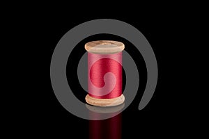 Pink Thread, Cerise Pink Wooden Thread Bobbin isolated on black Background, reflections
