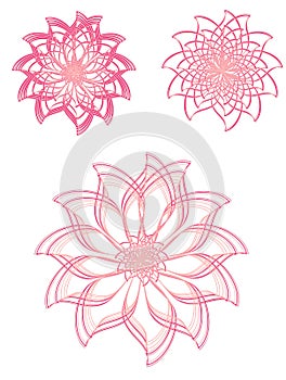 Pink tint floral element set
