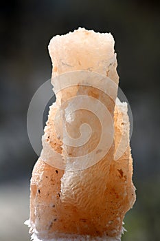 Pink tinted Himalayan salt (halite) with various natural shapes : (pix Sanjiv Shukla)