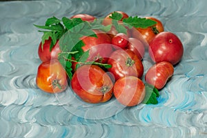 Pink tomatoes background. Large fresh ox heart tomatoes
