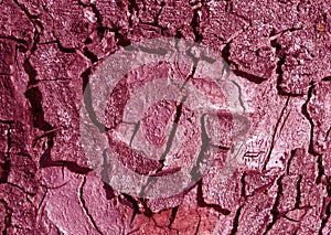 Pink toned tree bark surface.