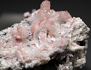 Pink tourmaline Cluster with Pollucite Specimen