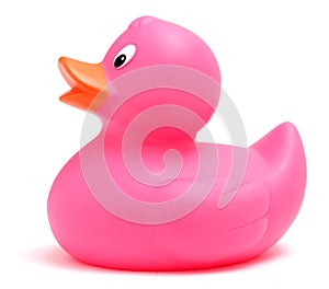 Pink Toy Duck