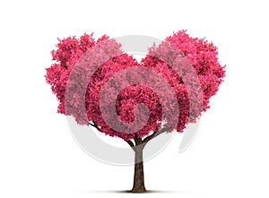 Pink tree in heart shape