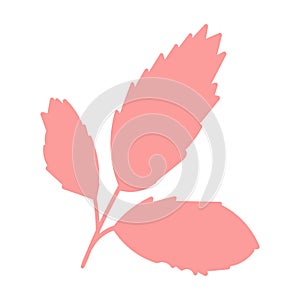 Pink Tree Leaf Herbarium Bright Silhouette Icon