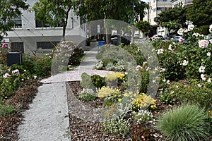 Pink Triangle Park and Memorial San Francisco 8