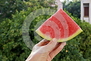 Triangle watermelon slice in hand
