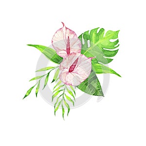 Pink tropic flowers and leaves set. Watercolor.