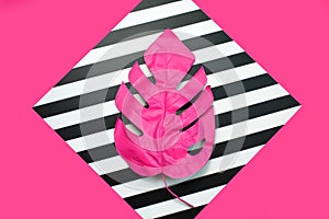 Pink tropical and palm leaves of monstera in vibrant bold color on dual background . Concept art. Minimal