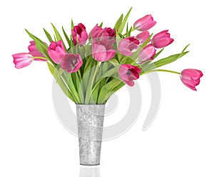 Pink Tulip Flower Beauty photo