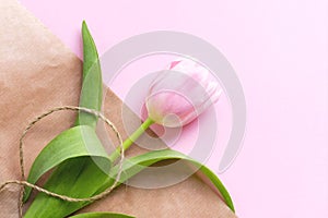 Pink tulip flower on craft paper background