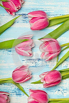 Pink tulip flowers on blue wooden background, copy space.