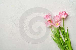 Pink tulip flowers bouquet for Happy Easter on front of gray background. Easter Greeting card. With copy space