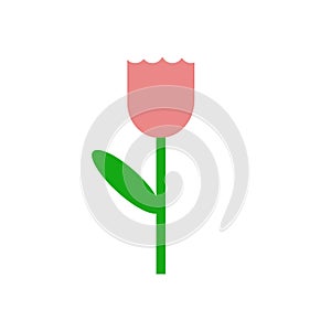 A pink tulip with a green leaf.