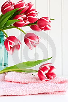 Pink tulip on towel