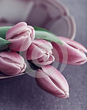 Pink Tulips