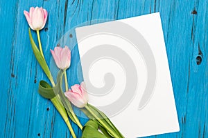 Pink tulips on a blue wooden board