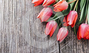 Pink tulips bouquet border on vintage wooden background from above. Top view of red flower bud frame. Spring seasonal holiday and