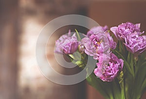 Pink tulips bouquet filtered matte vintage close up, beautiful pink spring flowers delivery for gift, violet purple bunch romantic
