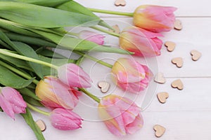 Pink tulips close up on a white background