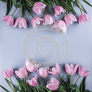 Pink tulips flowers on blue background. Waiting for spring. Greeting card or wedding invitation