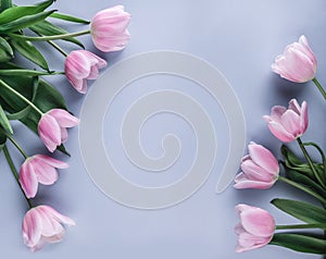 Pink tulips flowers on blue background. Waiting for spring. Happy Easter card. Flat lay,